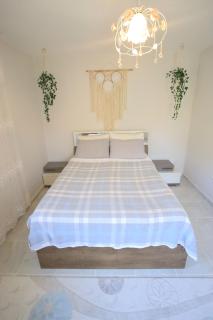 Villa Olive Garden House - 1