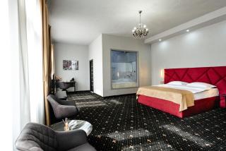 Palace Bulevard Inn - Cluj-Napoca - 8