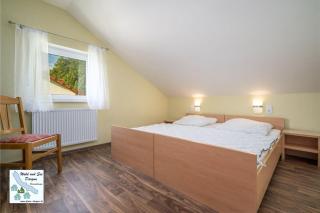 Wald und See Dargun 31B - 1