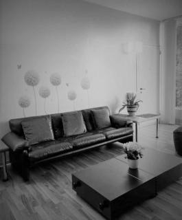 Talponia 212 - Ivrea - 2