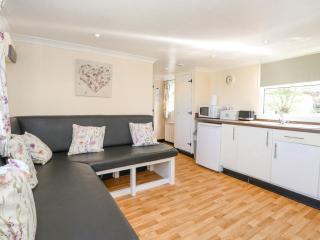 White Moth - Norwich - 8