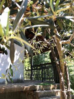 Bandici house - 8