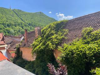Casa Albert Boutique & Restaurant - Braşov - 8
