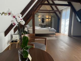 Casa Albert Boutique & Restaurant - Braşov - 9