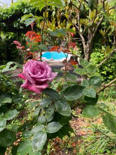 El Cau de Cal Quimet - Rialp - 6