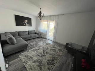 L&L Apartment - Braşov - 0