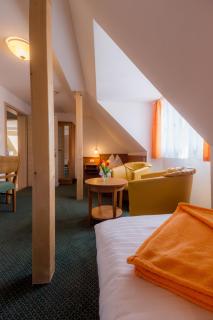 Pension Am Finkenberg - Sebnitz - 8