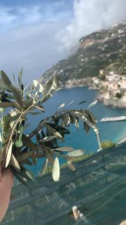 Casa San Michele - Minori - 3