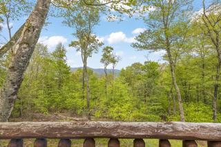 Lucky Bear Cabin - Banner Elk - 9