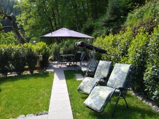 Ferienwohnung Panoramablick - Oberharmersbach - 7