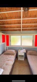 The B Hive - Londa - 3