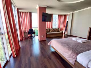 Micromegas apartments - Chernivtsi - 9