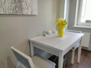 Micromegas apartments - Chernivtsi - 5