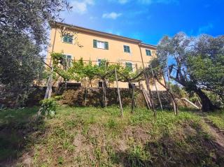 la cascina tra gli ulivi - La Spezia - 0