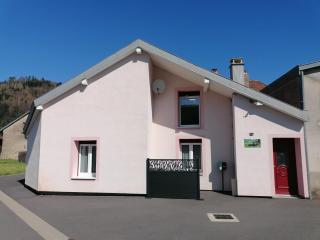 gîte de rarounette au cœur des Vosges - Celles-sur-Plaine - 9