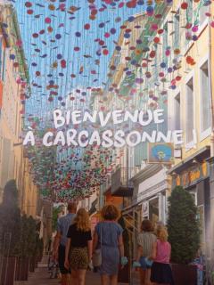 Le Clos des Lauriers - Carcassonne - 9
