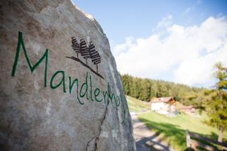 Mandlerhof - Verano - 0