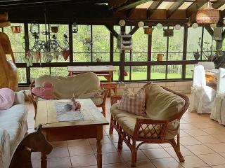 Cozy holiday apartment - Dachsberg im Schwarzwald - 2