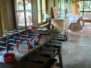 Cozy holiday apartment - Dachsberg im Schwarzwald - 7