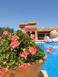 La Candelera - 0