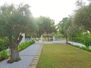 Alykesbeachhouse - Drosia - 8