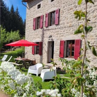 Se reconnecter à la nature au gîte 3 étoiles de Montager à Saint André de Chalencon - Saint-André-de-Chalençon - 9