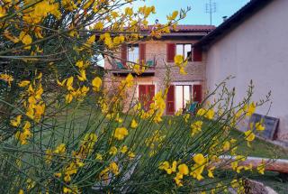 Cascina Nomade - Wine & Scenic Retreat - 1