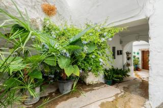 Preciosa casa independiente con increibles vistas - Vejer de la Frontera - 9
