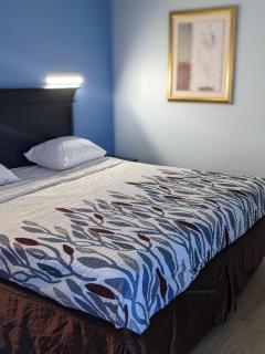 Budget Inn Alexandria - Alexandria - 5