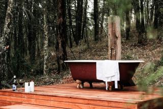 The Gully - Dreamy Cabin on Acres of Outback Charm - Mudgee - 5