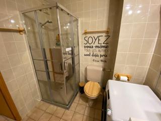Appartement pour 4 pers. terrasse, proche centre et pistes, parking garage - FR-1-733-60 - Crest-Voland - 6