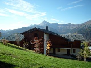 Appartement 6 pers, 2 ch, à Crest-Voland, proche pistes et commerces - FR-1-733-15 - Crest-Voland - 9