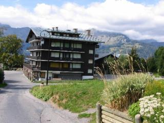 Appartement cosy 6 pers, centre Cernix, pied des pistes, proche commerces et ESF - FR-1-733-52 - Crest-Voland - 9