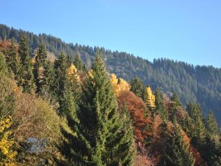 Chalet spacieux 10 pers. avec jardin, cheminée, cuisine équipée à Cohennoz, proche nature - FR-1-733-29 - 1