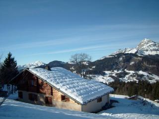 Chalet 8 pers. à 350m des pistes, 4 ch., WiFi, garage, poêle à bois, ensoleillé, Crest-Voland - FR-1-733-37 - Crest-Voland - 3