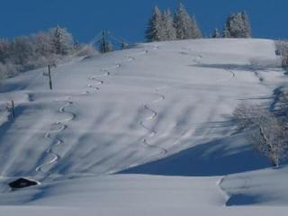 Duplex cosy 3 pièces pour 6 pers. à Crest-Voland, balcon, proche des pistes et commerces - FR-1-733-58 - 4