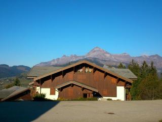 Appartement calme avec terrasse et garage - 6 pers. - Proche pistes - FR-1-733-78 - Crest-Voland - 9