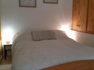 Studio 4 pers. avec mezzanine, parking & balcon, Crest-Voland - FR-1-733-111 - Crest-Voland - 8