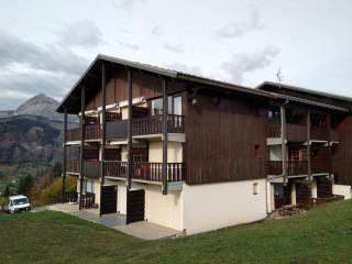 Studio cosy avec terrasse, équipements complets, parking et casier à skis - Crest-Voland - FR-1-733-118 - 8