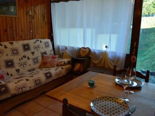 Studio cosy 4 pers, rez-de-chaussée, bien équipé, Crest-Voland, proche pistes, parking inclus - FR-1-733-109 - 9