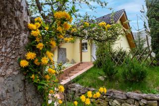 Apartmánový dům Vilémovice - Vilémovice - 0