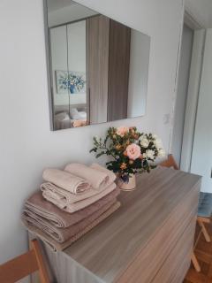 Vesna Apartment - Desenzano del Garda - 0