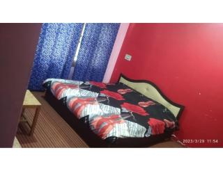 Hotel Sheikh Palace, Srinagar - Srinagar - 5