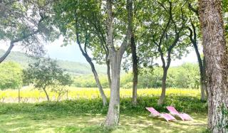Entre vignes et horizon Appartement avec jacuzzi privatif et piscine commune chauffée - Sablet - 2