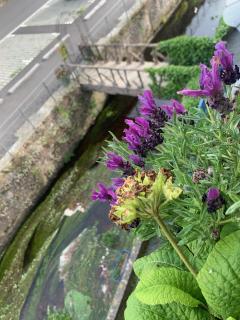 La Passerelle - Loguivy-Plougras - 8