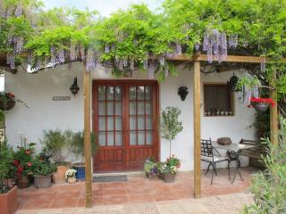 River Ebro Holidays - Tivenys - 9