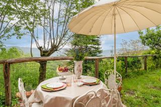 Sassi Scritti - Abete Bianco - 2