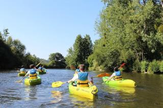 Le Cormoran emplacement idéal, moderne très équipé - 1