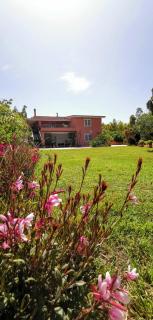 Home Garden - Siniscola - 8