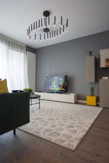 The Shades Of Grey 123 - Cloud9 Residence - Pipera - Floreasca - Barbu Vacarescu Area - Bucarest - 5